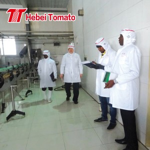 Aseptika Duobla Koncentra Tomata Pasto en 220L Tamburo 36-38CB, 30-32hb, 28-30CB