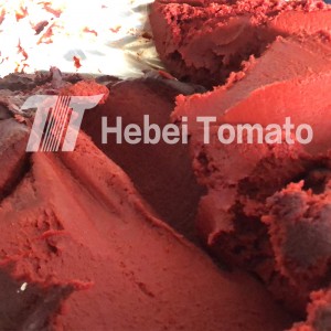 Pes Tomato Pekat Berganda Aseptik dalam Dram 220L 36-38CB, 30-32hb, 28–30CB