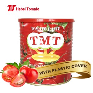 past tomato purdeb 100% mewn gwahanol feintiau blasus blasus o ffatri past tomato poblogaidd