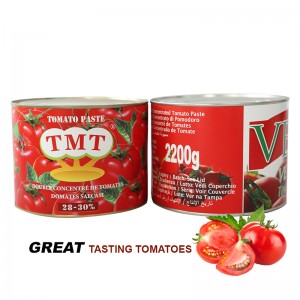 Marka domates salçası küçük teneke 70g domates püresi üreticileri hindistan'da OEM marka