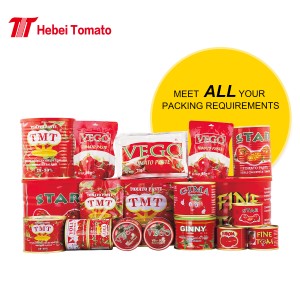 Müşterinin kendi markası ile 70g Düz Renkli Poşet Domates Salçası toptan fiyatına domates ketçapı