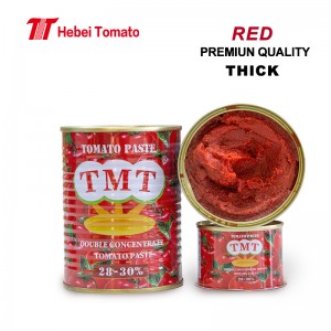 Boleng bo Phahameng 400g*24tins/ctn Tin Packing Tomate Paste ka Theko e Molemohali Little Sour Flavor Organic Tomato Paste
