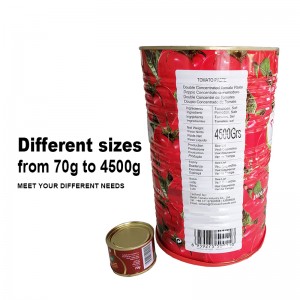 Tomatensaus Ketchup TMT FINE TOM HALA Nara VEGO CAVA Merk Tomatenpasta 4.5kg OEM beskikber
