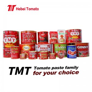 Jenama OEM Tersuai Makanan Planet Popular Kualiti Premium 3.15 Kg Pes Tomato Tin 15 Oz 6 Lbs