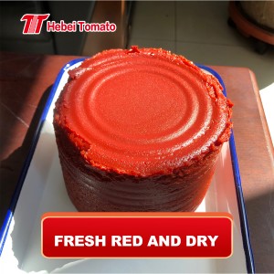 Venda por xunto de África Boa conserva de tomate Ketchup de tomate para todos os días Precio de fábrica Ppen duro 2200 g Embalaje de lata pasta de tomate