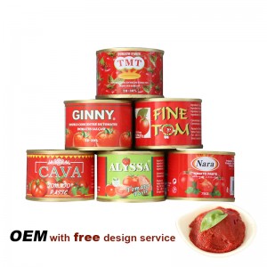 Merkki tomaattitahna pieni tölkki 70g tomaattipyree valmistajat Intiassa OEM-brändi