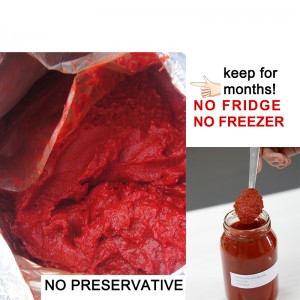 Fabriksproduktion god tomatpasta dobbelt koncentreret 340g pres tomatsauce PET-flaske 5L sauce