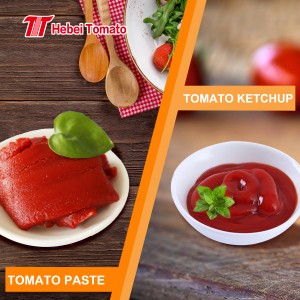 tomato paste 100% purity sa iba't ibang laki na masarap na masarap mula sa sikat na pabrika ng tomato paste