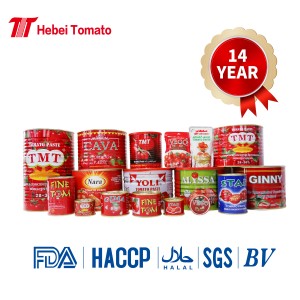Tempel Tomat Segar Kaleng Ketchup Tomat karo Pabrik Supplier ing China
