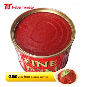 Fine Tom Brand ingeblikte tomatenpuree exporteur 4,5 kg China leverancier