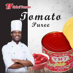 2200g Pasta Pomidorowa Podwójny Koncentrat 28-30% Brix dla Nigerii Ghana Wybrzeże Kości Słoniowej Gwinea