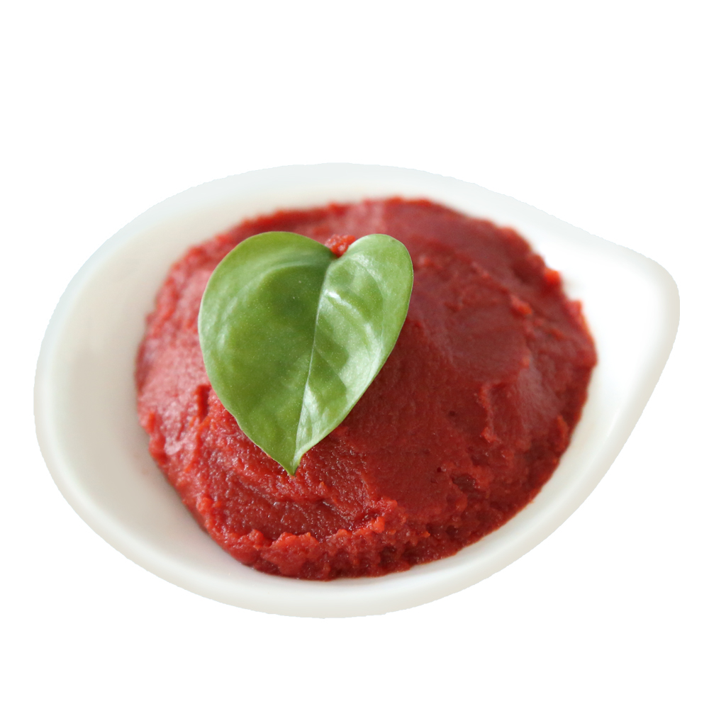 Pasta de tomate de alta qualidade com concentração de 28-30% de fábrica na China 210g