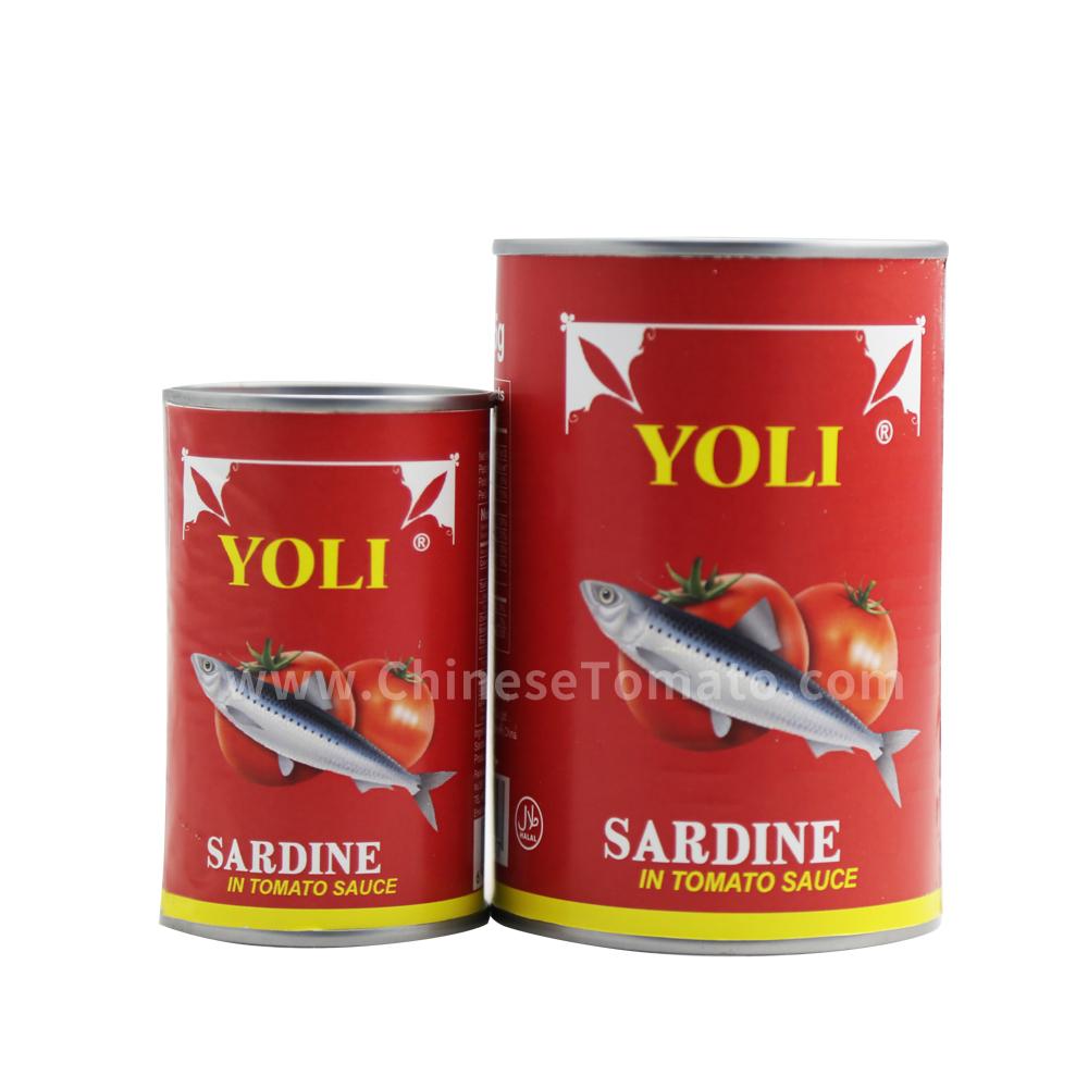 تيل ۾ ٽماٽو ساس ۾ OEM بهترين canned sardines