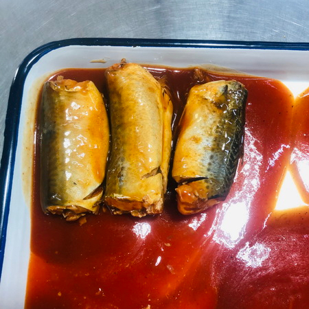 425g konzervovaná makrela v rajčatové omáčce rybí konzerva z Maroka
