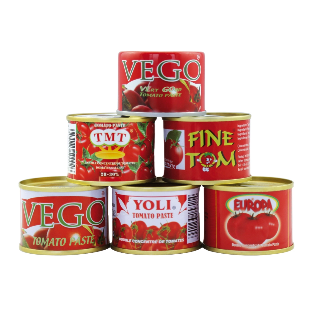 Çin'in en iyi fabrikasından FIORINI markası ile sıcak satış 70g poşet domates salçası