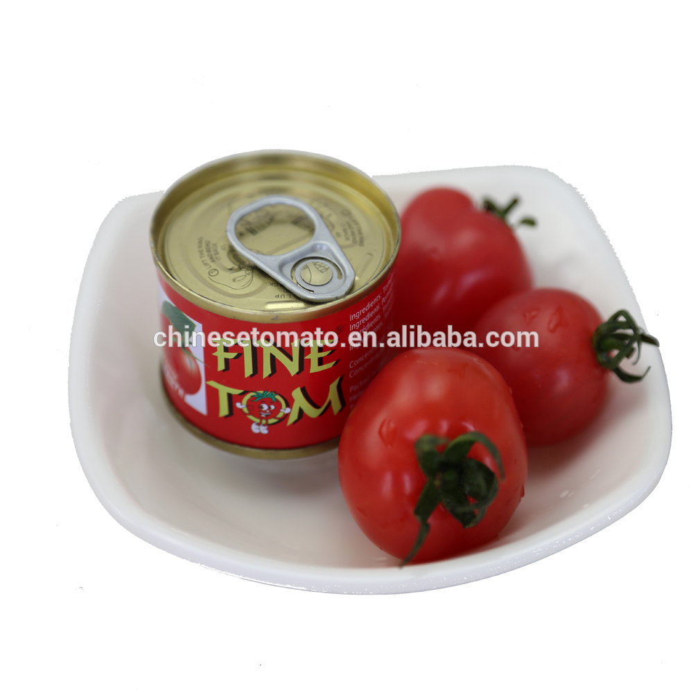 Fabrika e përpunimit të pastës së domates me cilësi të lartë Fabrika e pastës së domates