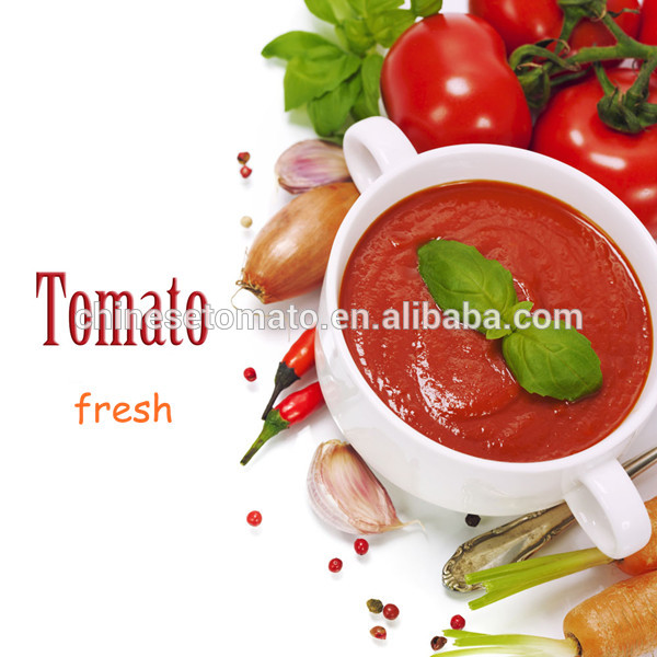 specificatie tomatensaus en ketchup voor spaghetti