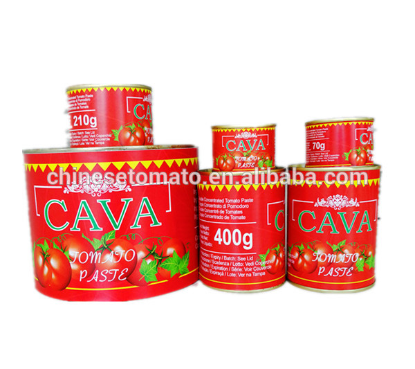 Pâte de tomates de première qualité avec tomates concentrées de marque CAVA