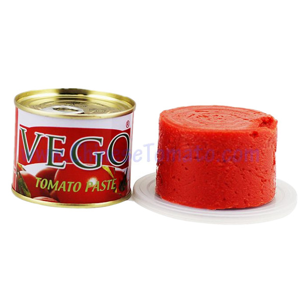 Importar pasta de tomate 210g marca OEM