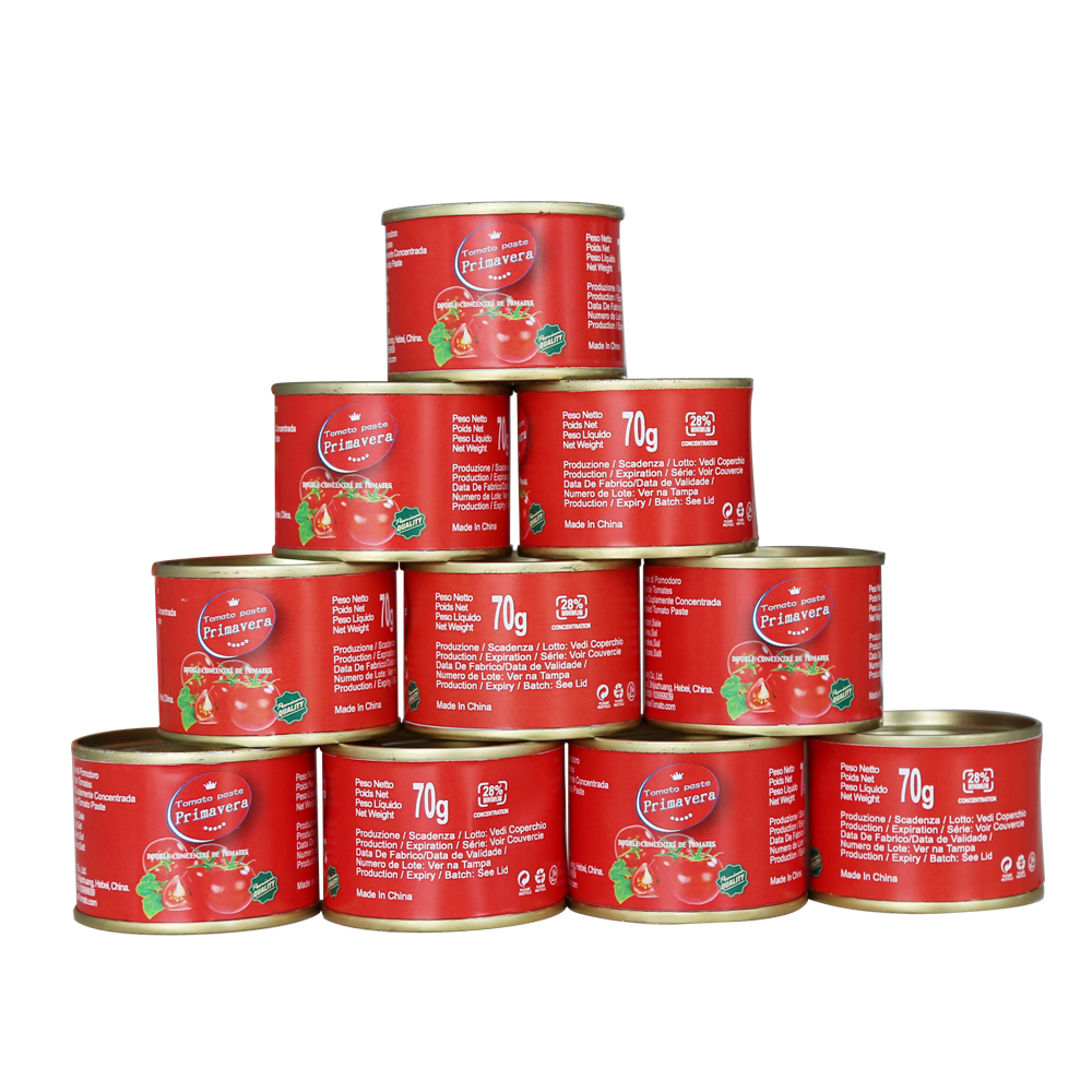 Yüksek kaliteli popüler boy domates salçası 70g satılık konserve