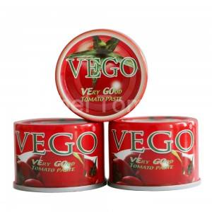 Canned tomato paste 70g(2)