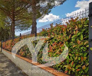 3D wire mesh panel fence