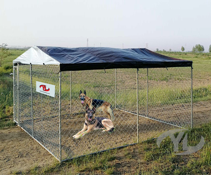 Chain link Fence dog kennel