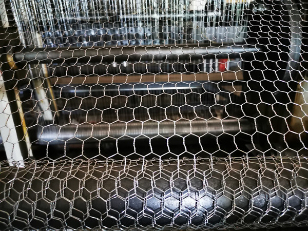 Galvanized héksagonal Kawat Netting