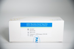 Kit di test di l'acidu nucleicu ADV (metudu di sonda di fluorescenza PCR)