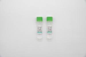 Kit di test di l'acidu nucleicu ADV (metudu di sonda di fluorescenza PCR)