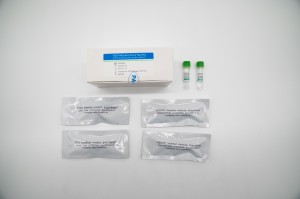 Pasgan deuchainn searbhag niuclasach ADV (modh sgrùdaidh fluorescence PCR)