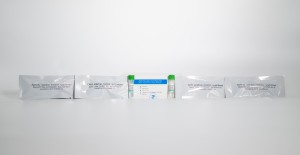 I-ADV Nucleic Acid Test Kit (i-PCR-fluorescence probe method)