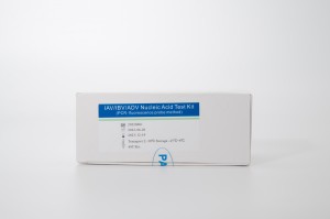 IAV/IBV/ADV Azido Nukleikoen Test Kit (PCR-fluoreszentzia-zunda metodoa)