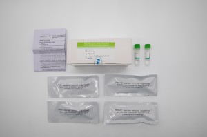 Kompleti i testit të acidit nukleik RSV (metoda e sondës PCR-fluoreshence)