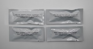 PIV1 Azido Nukleikoen Test Kit (PCR-fluoreszentzia-zunda metodoa)