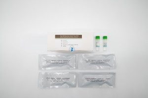 Ca16 Nucleic Acid Test Kit (PCR-fluoresenssikoetinmenetelmä)