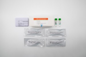 HBoV Nucleic Acid Test Kit (Meto'a su'esu'e ole PCR-fluorescence)