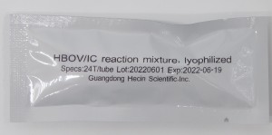 HBoV nukleinsyretestsett (PCR-fluorescensprobemetode)