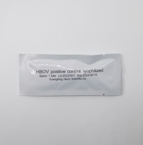 HBoV Nucleic Acid Test Kit (PCR-형광 프로브 방식)