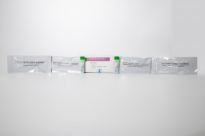 EV Nucleic Acid Test Kit (PCR- မီးချောင်းထိုးနည်း)