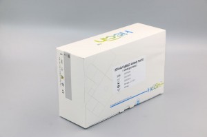 Kit de proba de anticorpos IgM/IgG 2019-nCoV (método de ouro coloidal)