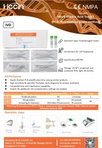 HBoV nukleiinhappe testikomplekt (PCR-fluorestsentssondi meetod)