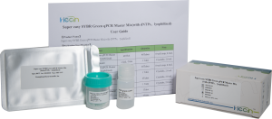 Dengue-vírus tipizáló nukleinsav tesztkészlet (PCR-fluoreszcens próba módszer)