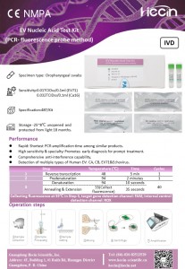 EV న్యూక్లియిక్ యాసిడ్ టెస్ట్ కిట్ (PCR- ఫ్లోరోసెన్స్ ప్రోబ్ పద్ధతి)