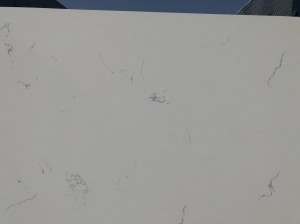 Бели кварцни камен Цалацатта са пуһастом жилом Произведено у Кини 5141