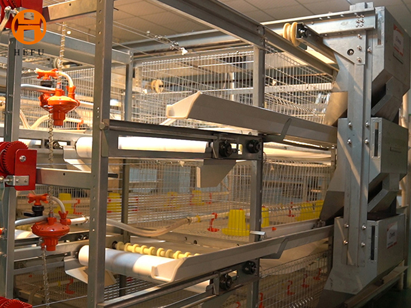 Broiler Double Cage