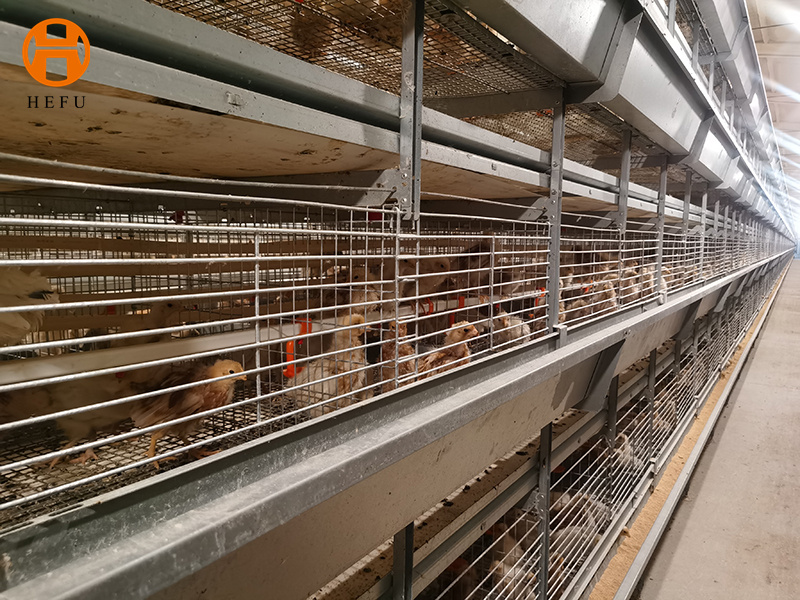 Poultry Processing Equipment Market Size and Overview Featuring Key Players and Top Country Data  - Benzinga