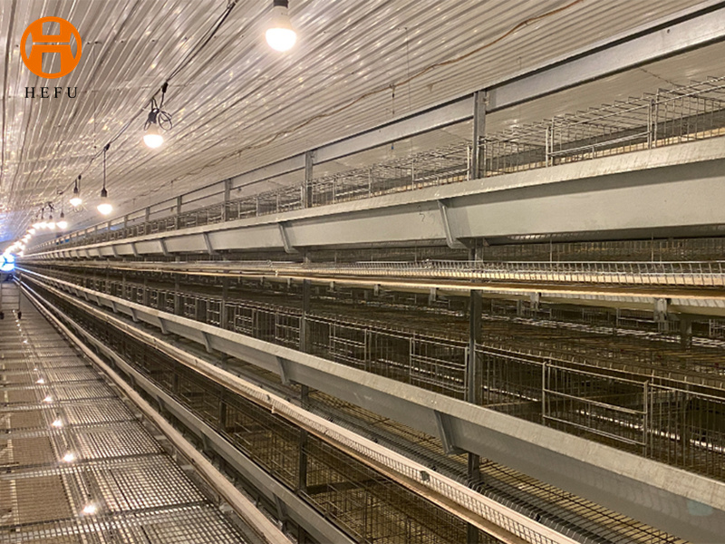Texas to Reduce Rules for Pennsylvania Poultry Shipments | Poultry News | lancasterfarming.com