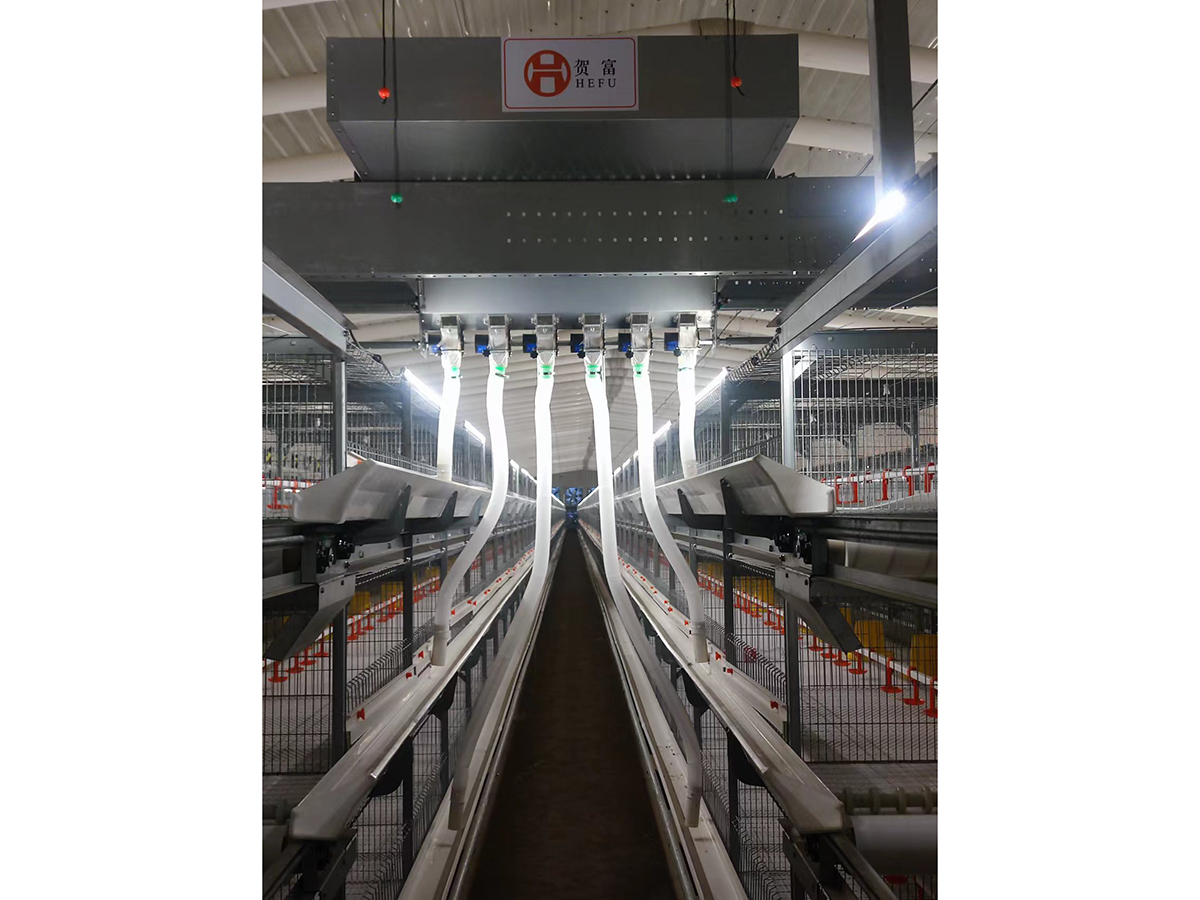 Shanxi Broiler Cage Project