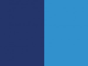 Hermcol® Blue 6911 (Pigment Blue 15:1)